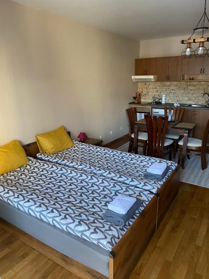 Bansko Spa Studio At Predela1 Eksteriør bilde